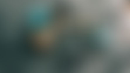 Life Performance Blog 2.12.19