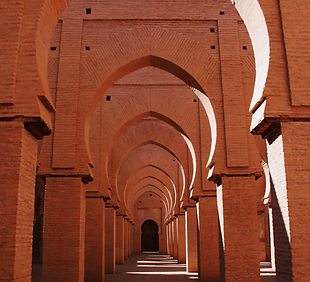 Image by Pommelien da Silva Cosme