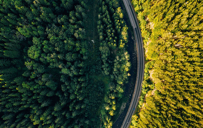 vista aérea floresta