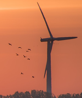 Image by Peter Franken