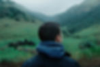 Man in mountains looking at regenerating forest