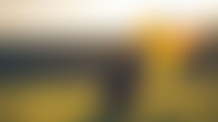 a woman standing in a field holding balloons in golden hour.