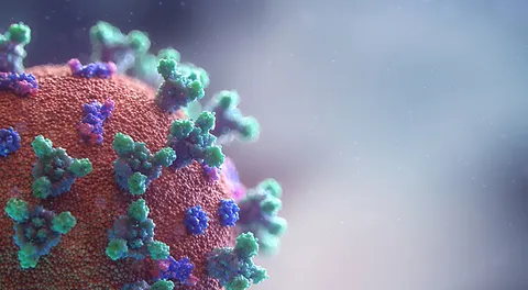 Liver Health Connection Liver Disease United States