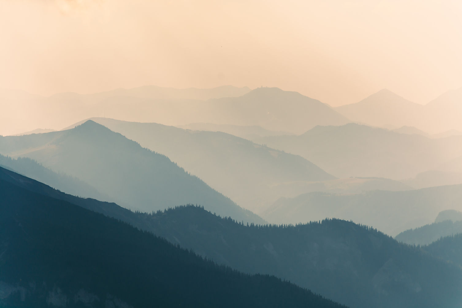 Image by Z S