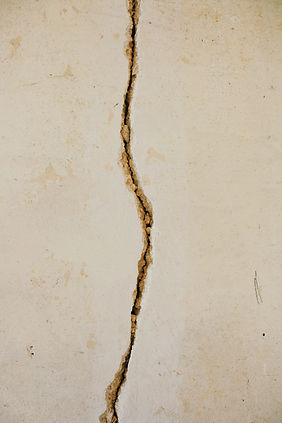 Image by Brina Blum