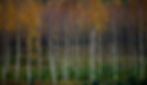 Image by Vidar Nordli-Mathisen