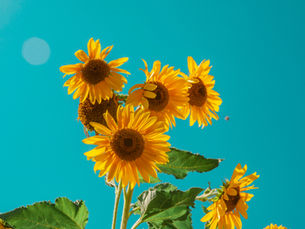 Monday Moments November 10, 2025