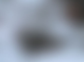 Thú cưng mang niềm vui nhưng cũng đem vi khuẩn lên giường