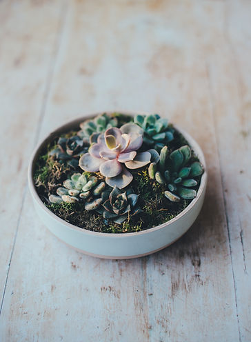 Image by Annie Spratt