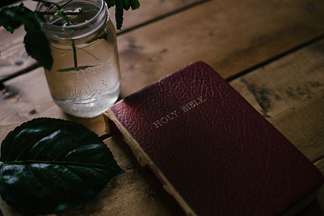 Image by Priscilla Du Preez