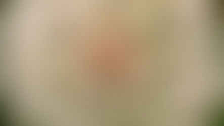 The Sacred Writings (John 5:39-40)