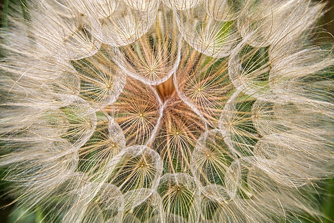Image by Claud Richmond