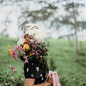 Image by Brynden
