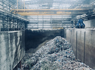 Image by Rose Galloway Green