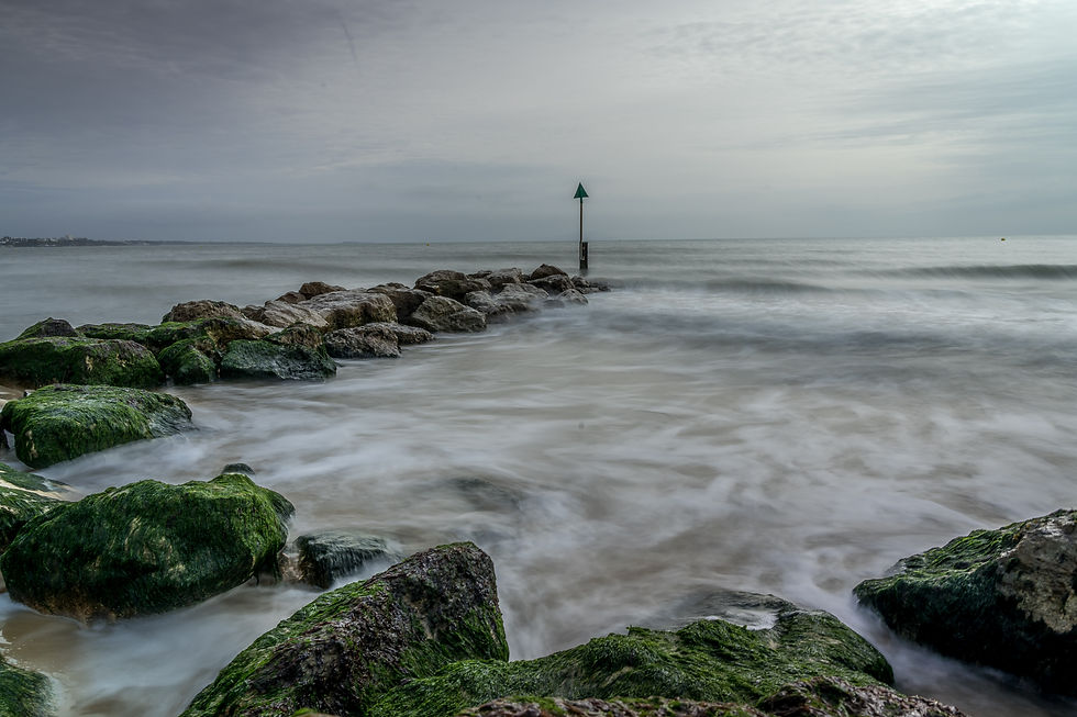 Image by Nick Fewings