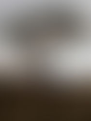 The Power of Your Declarations