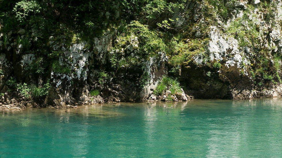 Image de Uliana Sova