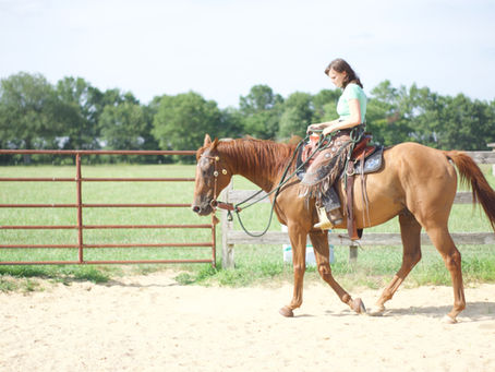 What is a Dude Ranch? A Guide to the Wild West Vacation You Didn't Know You Needed