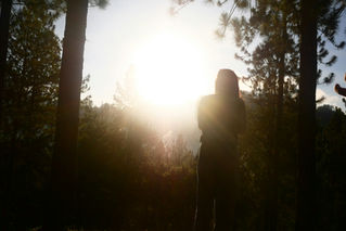 Teen standing in warm sunlight among trees, creating a soft and open feeling of calm, growth, and quiet self-discovery