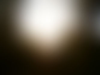 Teen standing in warm sunlight among trees, creating a soft and open feeling of calm, growth, and quiet self-discovery