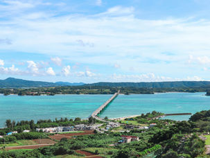 CIDADES E LONGEVIDADE