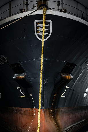 Image by Paul Einerhand