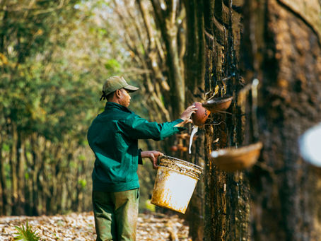 Regenerative agriculture, a climate activism revolution