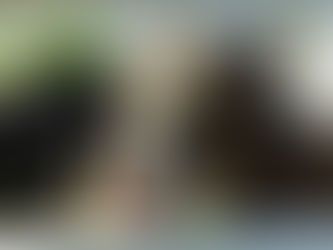 Vaca Holstein en sala de ordeña, enfoque en ubre y rutina de ordeña