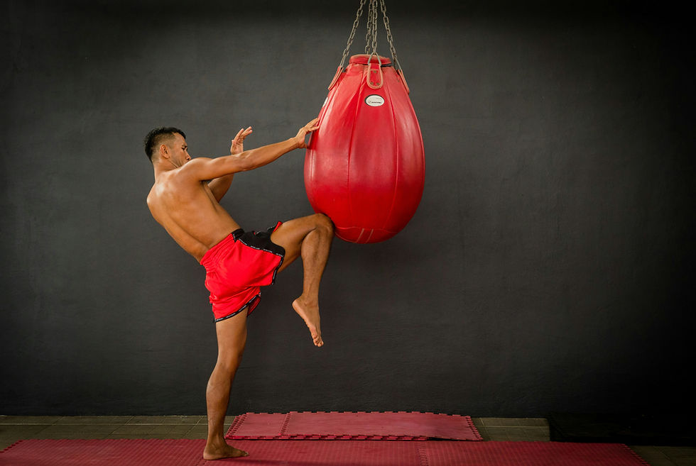 BEGINNER MUAY THAI