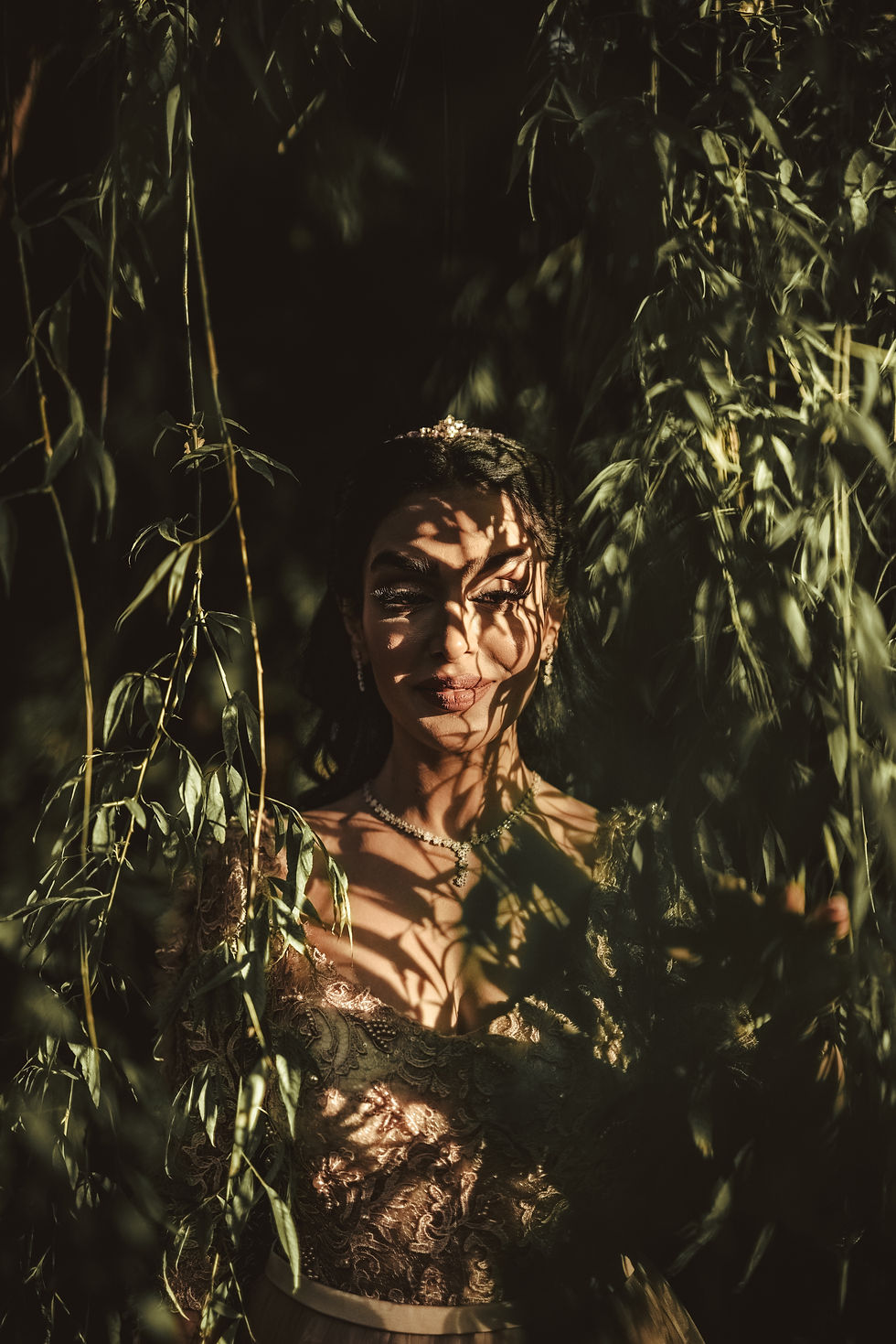 Image de Ali Choubin