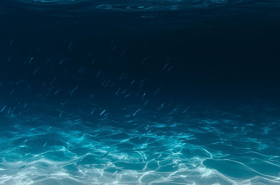 Image by Silas Baisch