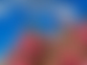 Oleander hedge providing natural privacy in a Fountain Hills landscape