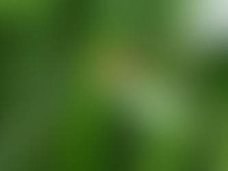 Innovation ist überall: Die Kraft der kleinen alltäglichen Verbesserungen