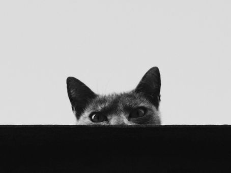Fearful vs. Cautious: Understanding the Difference in Energy