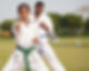 Why Martial Arts Should be Taught in School? Asked and Answered