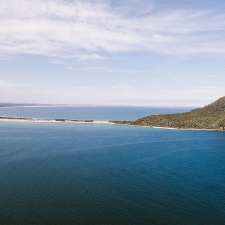 Dolphin Adventures on a Port Stephens Holiday