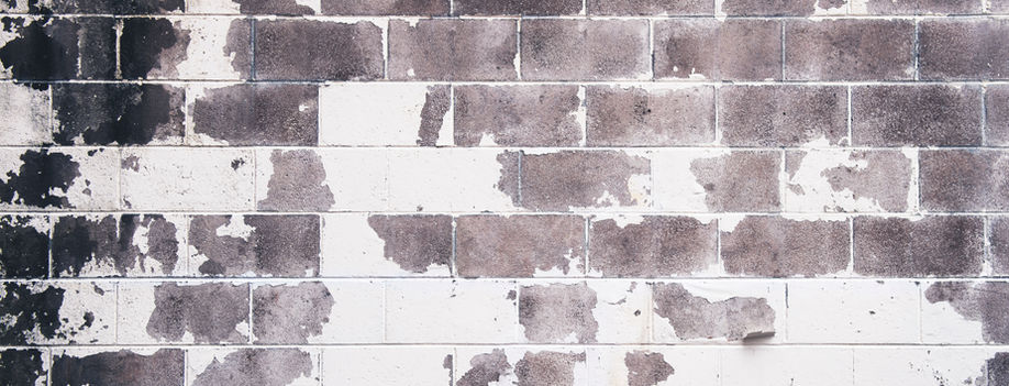 Image by Tim Mossholder