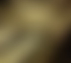 Chapitre 6 : Jurassic Park  25 : le Retour du Jedi