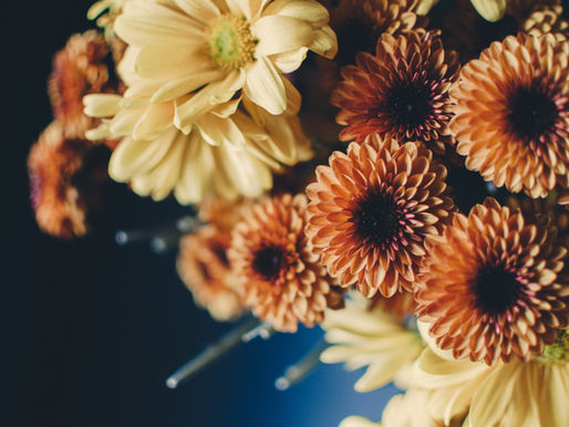 Chrysanthe... Mum’s the word! 