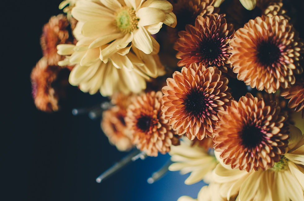 Image by Kelly Sikkema