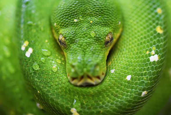 Image by David Clode