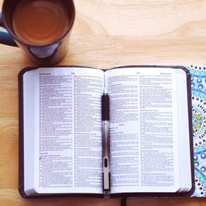 Studying The Bible