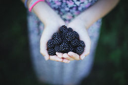 Image by nine koepfer