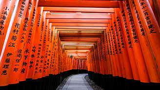 Orange gates outside of Kyoto.