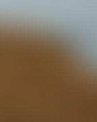 bundle abundant redundant moribund 