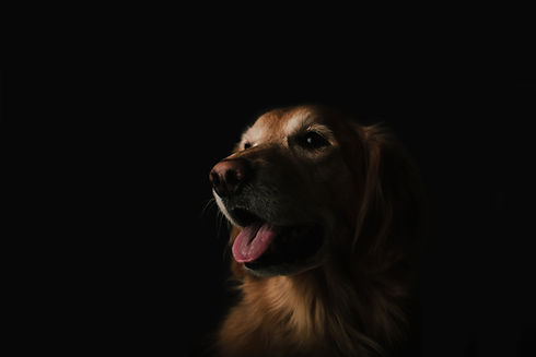 Image by Brandon Day