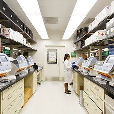 Image by National Cancer Institute