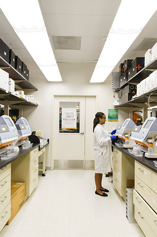 Image by National Cancer Institute