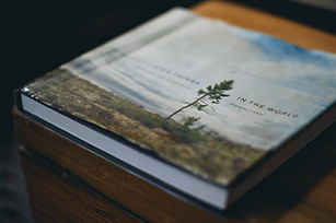 Image by Dan Gold