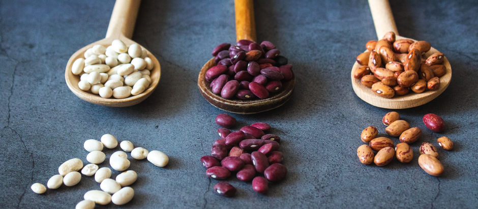 Beans 101: Why These Plant-Based Powerhouses Deserve a Place on Your Plate